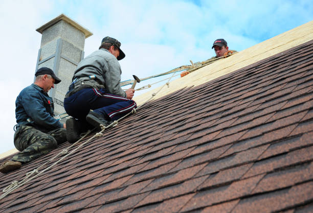 Best Gutter Installation and Roofing  in Cardington, OH